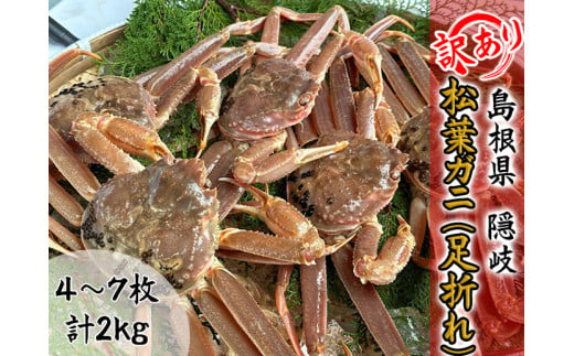 2713　【木村鮮魚店提供】　【訳アリ】隠岐松葉ガニ（足折れ）２㎏ 1543253 - 島根県隠岐の島町