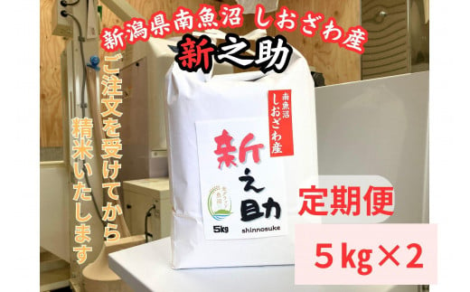 【定期便】南魚沼しおざわ産　新之助　10kg×12か月　新米