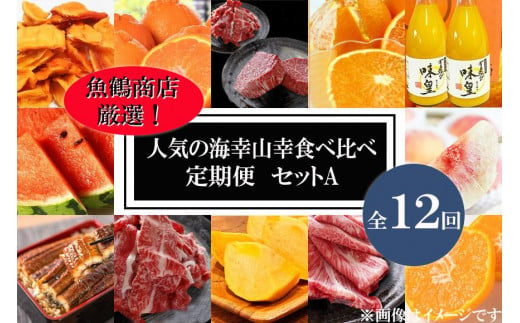 【魚鶴商店厳選！】人気の海幸山幸食べ比べ【定期便全12回】セットA【UT109】 830915 - 和歌山県和歌山市