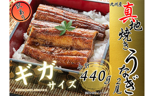 2752 [数量限定]大人気!鯉家の絶品蒲焼「真地焼きうなぎ蒲焼(2尾)訳あり規格外サイズ」440g」 [国産 手焼き 備長炭 鰻 うなぎ 惣菜 蒲焼 鹿児島県 訳あり 規格外] 冬うなぎ