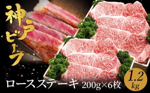 神戸牛 ロースステーキ 1.2kg【200g×6枚】牛肉 ステーキ ロース 霜降り ステーキ肉 但馬牛 黒毛和牛 和牛 国産牛 赤身 ステーキ 牛 肉 焼肉 太田牧場 太田牛 神戸ビーフ TYST10【但馬牛太田家】 918372 - 兵庫県豊岡市