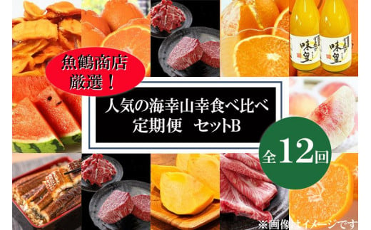 【魚鶴商店厳選！】人気の海幸山幸食べ比べ【定期便全12回】セットB【UT110】 597571 - 和歌山県高野町