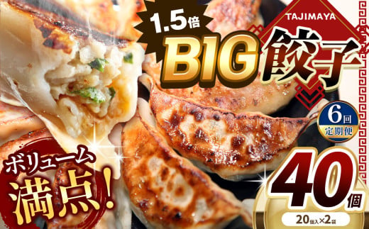 【定期便6回】たじまやオリジナルビッグ餃子 40個  | TAJIMAYA たじまや タジマヤ 大きい ビッグ BIG 餃子 売れ筋 大人気 好評 やみつき リピーター リピート ぎょうざ  旨み 旨味 ぱりっと もっちり ジューシー おかず 惣菜 中華 肉 肉汁 地場 野菜  たっぷり 焼 ごはん おつまみ 真岡市 送料無料