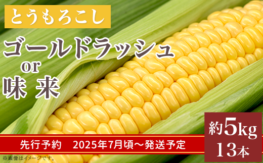 325 とうもろこし ゴールドラッシュ or 味来 約5kg 13本 朝採れ 黄 茨城 先行予約 2025年7月頃～発送予定 943879 - 茨城県茨城町