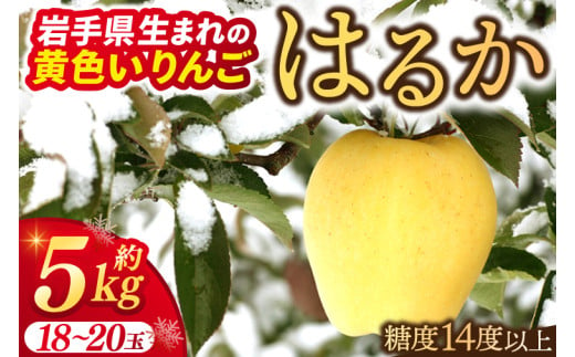 りんご はるか 約5kg 糖度14度以上【先行予約 12月発送】数量限定 岩手県産 りんご リンゴ 林檎 はるか 純情はるか フルーツ くだもの 果物 【冬恋研究会】 (AI015) 1545657 - 岩手県紫波町