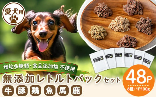 a960 ＜増粘多糖類・食品添加物不使用＞愛犬用無添加レトルトパックセット6種(100g×48パック)【Nフードサービス】鹿児島県産 ペットフード 動物 犬 ドッグ 餌 エサ おやつ ごはん ご飯 間食 ご褒美 1423818 - 鹿児島県姶良市