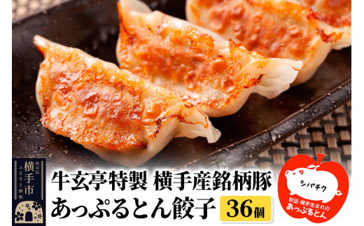 牛玄亭特製 横手産銘柄豚 あっぷるとん餃子 36個（18個入り×2） 1543884 - 秋田県横手市