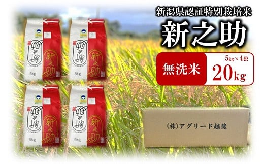 【令和6年産新米】特別栽培米 新之助 無洗米 5kg×4袋（計 20kg）おいしいね アグリード越後のお米[Y0318]