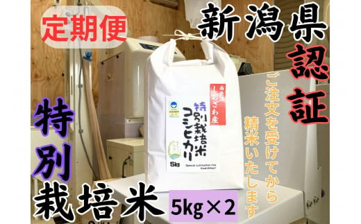 【定期便】新潟県南魚沼　しおざわ産特別栽培米コシヒカリ　10kg×12か月　新米