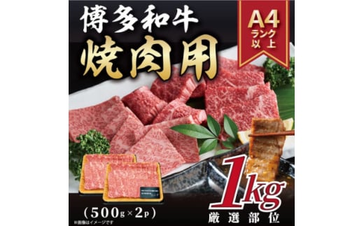 ＜A4～A5＞博多和牛焼肉用　1kg(500g×2p)(大牟田市)【1560691】 1544828 - 福岡県大牟田市