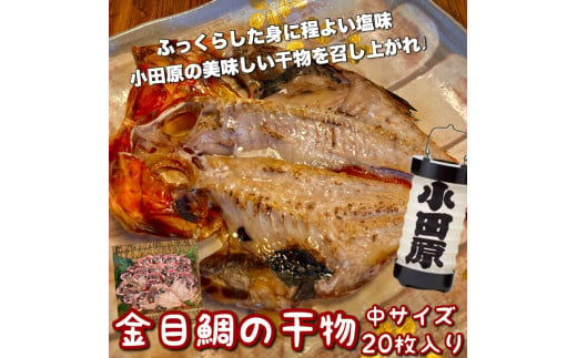 金目鯛の干物 中サイズ 20枚セット 1604664 - 神奈川県小田原市