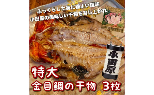 超特大金目鯛の干物 3枚 1604672 - 神奈川県小田原市