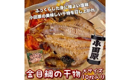 金目鯛の干物 大サイズ 10枚セット 1604667 - 神奈川県小田原市