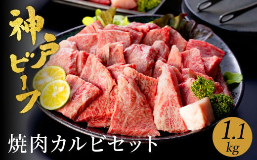 神戸牛 食べ比べ 焼肉セット 合計1.1kg【肩・モモ 600g+切り落とし牛カルビ 500g】/ 焼肉用 牛肉 切り落とし 牛 肉 焼肉 肩 モモ 赤身 黒毛和牛 霜降り 国産牛 焼き肉 カルビ 神戸ビーフ TYY3 太田牧場【但馬牛太田家】 918122 - 兵庫県豊岡市