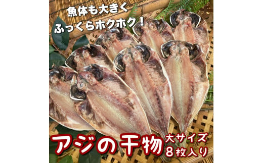 鯵の干物 大サイズ 8枚セット 1604627 - 神奈川県小田原市