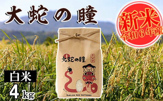 【令和6年産】大蛇の瞳 白米 4kg 精米 熊本県 南関町産 単一原料米 コシヒカリ 産地直送 コメ お米 ごはん 393417 - 熊本県南関町