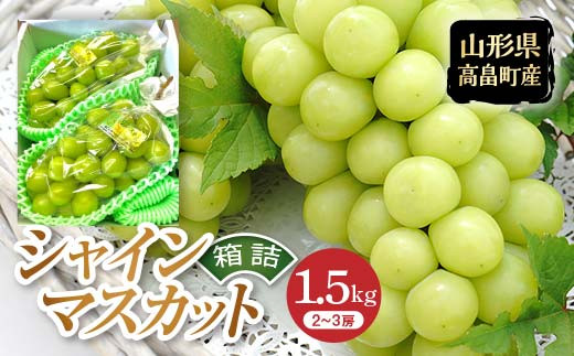 《2025年先行予約》山形県 高畠町産 シャインマスカット 箱詰 約1.5kg(2～3房) 2025年9月中旬から順次発送 ぶどう ブドウ 葡萄 マスカット 大粒 種なし 高級 くだもの 果物 フルーツ 秋果実 産地直送 農家直送 数量限定 贈答 ギフト F21B-304 693275 - 山形県高畠町