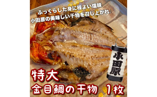 超特大金目鯛の干物 1枚 1604670 - 神奈川県小田原市