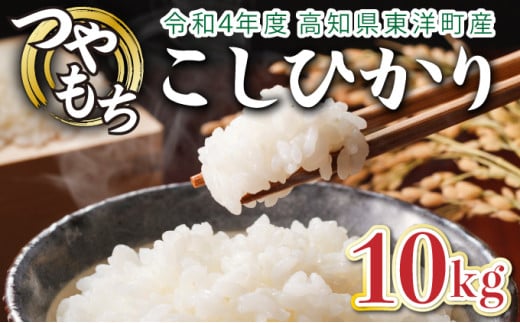 令和6年産 コシヒカリ 10kg　米 こしひかり 白米 こめ コメ 人気 精米　S138 325807 - 高知県東洋町