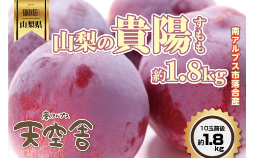 【2025年先行予約 7月頃発送予定】南アルプス天空舎が贈る落合産スモモ「貴陽約1.8kg」 ALPAB042