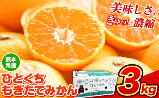 訳あり みかん ひとくちもぎたてみかん 約 3kg (3kg×1箱) S-3Sサイズ 訳あり ご家庭用 熊本県産 （荒尾市産含む） 期間限定 フルーツ 果物 旬 冬 柑橘 小玉 みかん《11月中旬-12月上旬頃出荷》 1502445 - 熊本県荒尾市