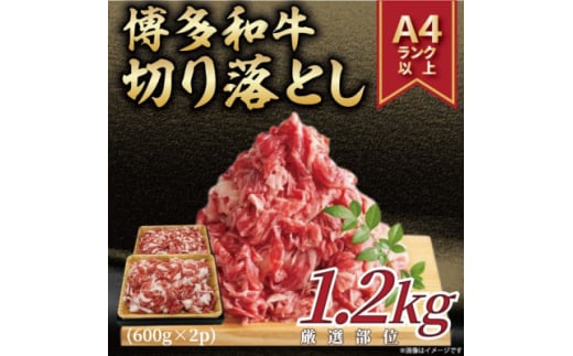 訳あり!＜A4～A5＞博多和牛切り落とし　1.2kg(600g×2p)(大牟田市)【1560562】 1544825 - 福岡県大牟田市