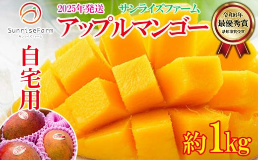 【2025年発送】サンライズファームのマンゴー 約１kg ご自宅用 アーウィン 果物 甘い 夏 濃厚 ギフト Mango ランキング 完熟 お気に入り 収穫 人気 甘味 フルーツ 沖縄県 国産 食品 デザート 産地直送 送料無料 810525 - 沖縄県宜野座村