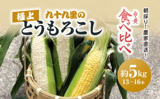 朝採り!農家直送! 九十九里の極上とうもろこし 白色 黄色 食べ比べ 約5kg（13～16本）／とうもろこし トウモロコシ コーン ゴールドラッシュ ワクワクコーン 白いとうもろこし 味甘ちゃんホワイト 濃厚な甘み 新鮮 農家直送 千葉県 千葉県山武市 SMBU002