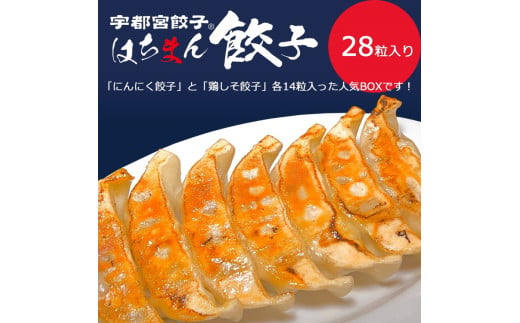 餃子BOXセット（28粒） 1539293 - 栃木県宇都宮市