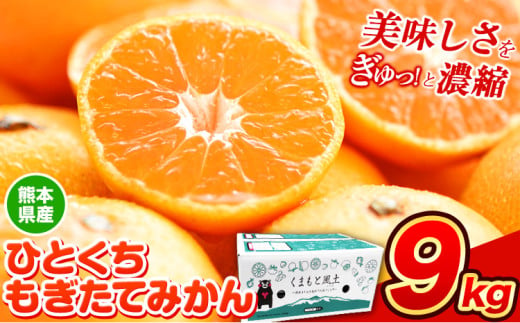 訳あり みかん ひとくちもぎたてみかん 約9kg (9kg×1箱) S-3Sサイズ 訳あり ご家庭用 熊本県産 （荒尾市産含む） 期間限定 フルーツ 果物 旬 冬 柑橘 小玉 みかん《11月中旬-12月上旬頃出荷》 1418516 - 熊本県荒尾市