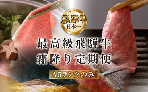 [定期便 6回]高級 飛騨牛食べ比べ 定期便 6カ月 毎月 [冷蔵配送] 定期 贈答 ギフト 牛肉 焼き肉 牛 下呂 焼肉 ブランド牛 下呂魚介 焼き肉 すき焼 しゃぶしゃぶ ステーキ サーロイン 肩ロース 霜降り