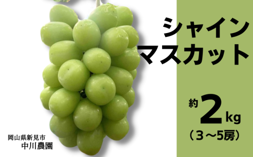 雲の上のぶどう園 シャインマスカット 約1.2kg 2～3房 【先行予約 2025年10月中旬から順次発送】 - 岡山県新見市｜ふるさとチョイス -  ふるさと納税サイト