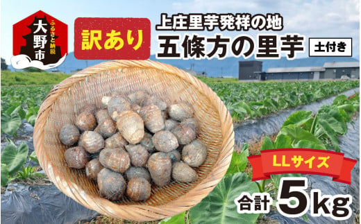 【訳あり】【年内発送】 上庄里芋発祥の地 五條方の里芋 LLサイズ土付（秀・優）混合5kg