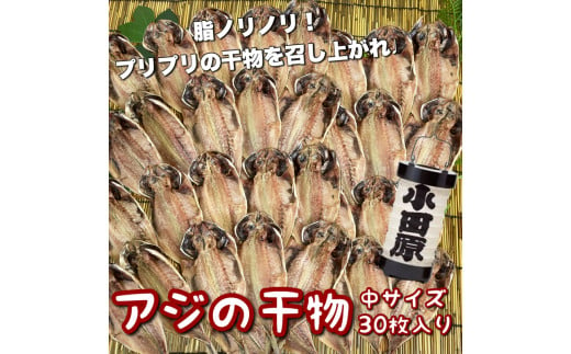 鯵の干物 中サイズ 30枚セット 1604626 - 神奈川県小田原市