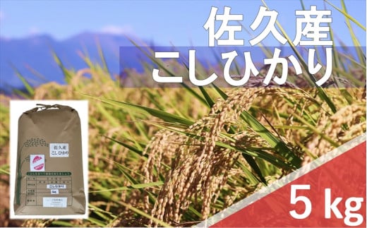 【令和6年産】長野県佐久平産　こしひかり・白米5kg　（北海道・沖縄・離島は配送不可）【米 コメ 白米 精米 お米 こめ おこめ 備蓄品 仕送り おすそ分け 備蓄米 コシヒカリ こしひかり 長野県 佐久市 】 1409781 - 長野県佐久市