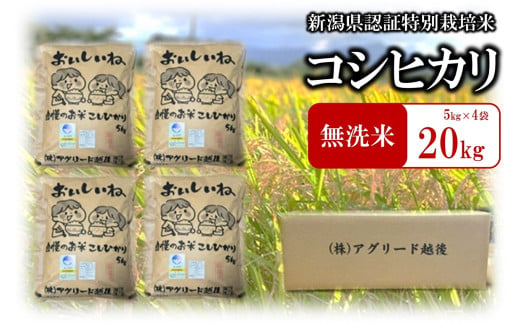 【令和6年産新米】厳選大粒 特別栽培米 コシヒカリ 無洗米 20kg（5kg×4袋） おいしいね アグリード越後のお米[Y0321]