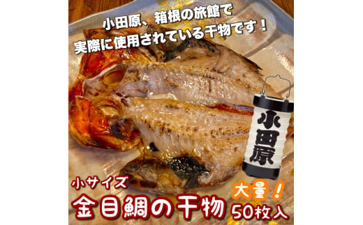 業務用 金目鯛の干物 小サイズ 50枚セット 1604660 - 神奈川県小田原市