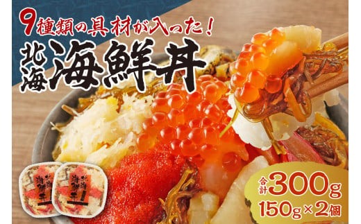 9種類の具材が入った！北海海鮮丼300g（150g×2個） 678814 - 北海道札幌市