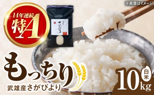 【14年連続特A評価】武雄市産 さがびより 10kg（5kg×2袋） /株式会社 y’s company [UDX017] 1544415 - 佐賀県武雄市