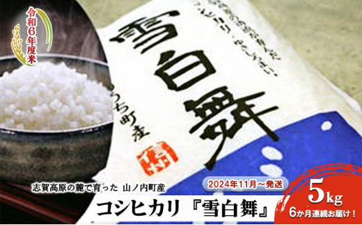 【令和6年度米！】志賀高原の麓で育った 山ノ内町産コシヒカリ『雪白舞』5kg 6か月連続お届け！2024年11月～発送 米 お米 コシヒカリ 5kg 5キロ ブランド米 令和6年 令和6年産 定期 6か月 951900 - 長野県山ノ内町