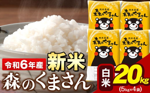 令和6年産 新米  森のくまさん 20kg 5kg × 4袋  白米 熊本県産 単一原料米 森くま《11月-12月より出荷予定》《精米方法をお選びください》送料無料