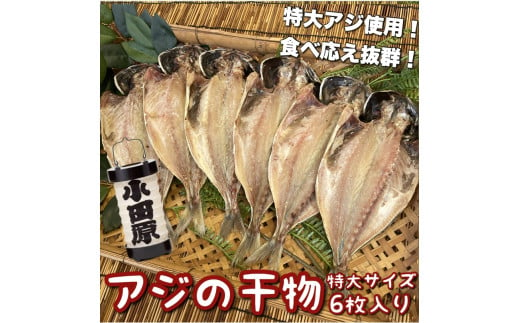 鯵の干物 特大サイズ 6枚セット 1604630 - 神奈川県小田原市