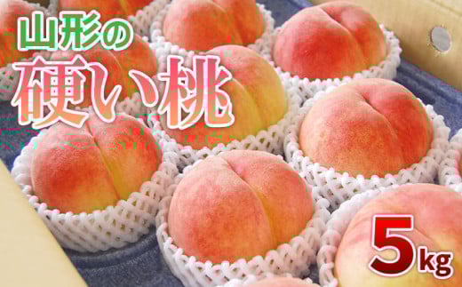 山形市産 白桃 もも 5kg 硬め(10~16玉) 【令和7年産先行予約 山形市産 白桃 もも 5kg 硬め(10~16玉) 【令和7年産先行予約