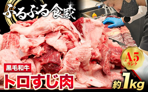 黒毛和牛 トロすじ肉 約1kg 株式会社Demi Enterprise《30日以内に出荷予定(土日祝除く)》大阪府 羽曳野市 送料無料 牛肉 牛 和牛 牛すじ肉 牛すじ 煮込み料理 おでん カレー 1381646 - 大阪府羽曳野市