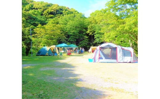 滝頭公園キャンプ場利用券　滝頭公園キャンプ場利用券 キャンプ場 キャンプ アウトドア 薪 デイキャンプ 宿泊 桜 四季 自然 山 散歩 ジョギング 田原市 人気 渥美半島 愛知県