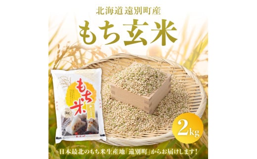 【日本最北のもち米生産地からお届け】もち玄米（2kg）【令和６年産新米】	 683458 - 北海道遠別町