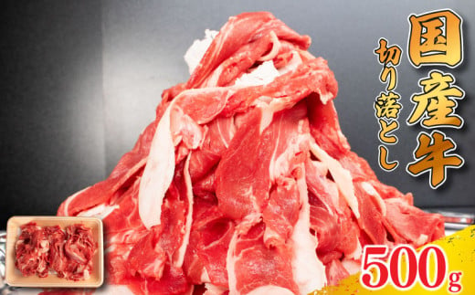 牛肉 切り落とし 500g 肉 にく 牛肉 ぎゅうにく ビーフ しゃぶしゃぶ すき焼き すきやき 焼肉 国産 BBQ バーベキュー アウトドア キャンプ ギフト プレゼント 贈答 お取り寄せ 人気 おすすめ グルメ 冷凍 送料無料 徳島県 阿波市  1547751 - 徳島県阿波市