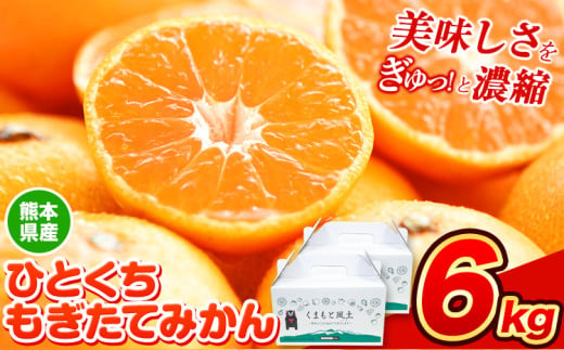 訳あり みかん ひとくちもぎたてみかん 約 6kg (3kg×2箱) S-3Sサイズ 訳あり ご家庭用 熊本県産 （荒尾市産含む） 期間限定 フルーツ 果物 旬 冬 柑橘 小玉 みかん《11月中旬-12月上旬頃出荷》 1418510 - 熊本県荒尾市