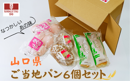 山口県ご当地パン 6個セット 3種×各2個  【パン 詰め合わせ 訳あり ご当地パン 菓子パン 山口県 ご当地パン ピーナツパン 昭和30年代 ぞうりぱん ピンク色 さくらっ子 牛乳パン 昭和35年 こしあん入り ふんわり蒸しパン 普通の酒まんじゅう 子供向けパン 栄養のあるパン メロンパン ココア味 甘いフォンダン 親しまれているパン セット販売 人気商品】 1101819 - 山口県宇部市