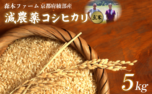 【令和6年産】新米 減農薬コシヒカリ 玄米 5kg 【 米 コシヒカリ こしひかり 5キロ 5kg 玄米 こめ コメ お米 おこめ 農家直送 減農薬 低農薬 綾部 京都 森本ファーム 】 1201482 - 京都府綾部市